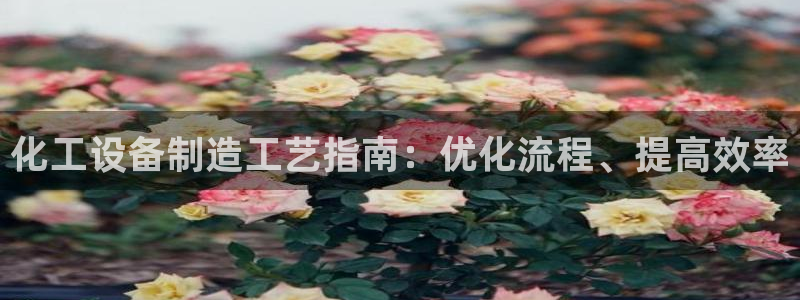 天辰平台用户
