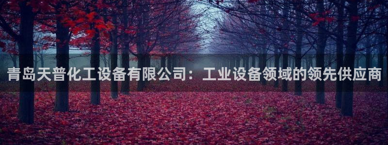 天辰注册平台