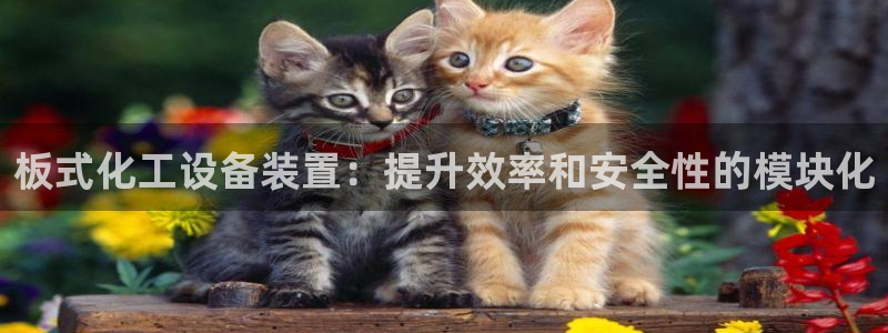 天辰平台飞 41IO31 平台