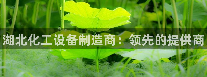 天辰平台可选 37oo735
