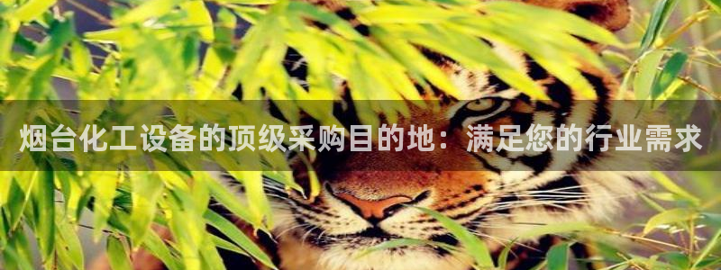 天辰平台去 58534I 平台
