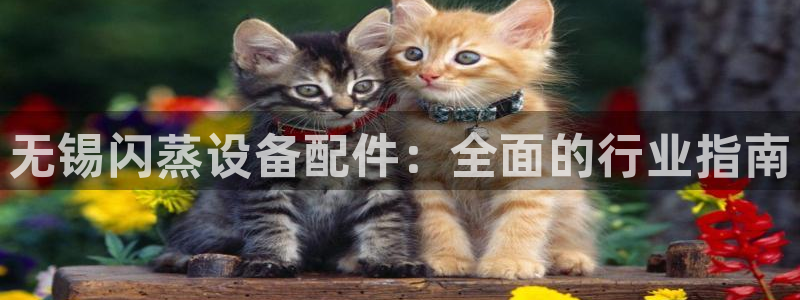 天辰平台招商1111是什么意思