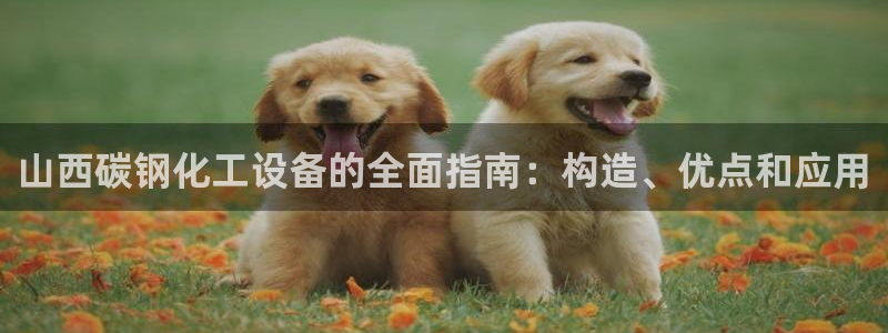 天辰平台科技