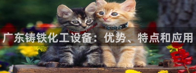 天辰平台会员登录