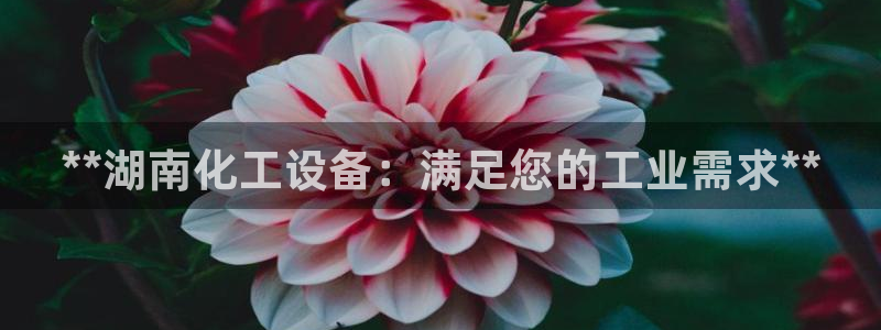 天辰娱乐app里面做任务是真的吗贴吧怎么样