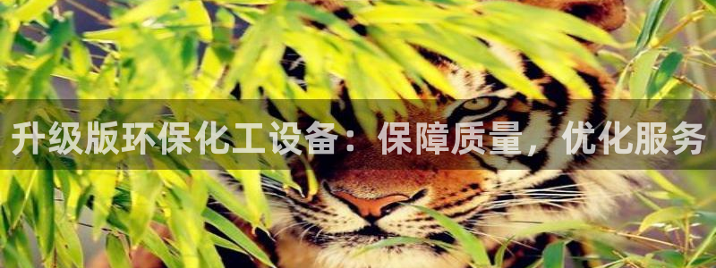 天辰娱乐平台账号注册地址是多少啊