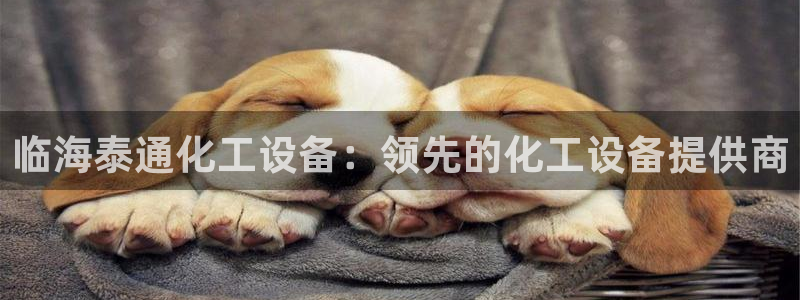 天辰网络