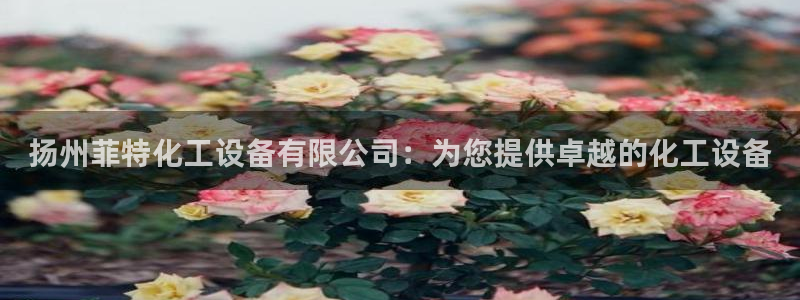 天辰平台招商1111是什么活动
