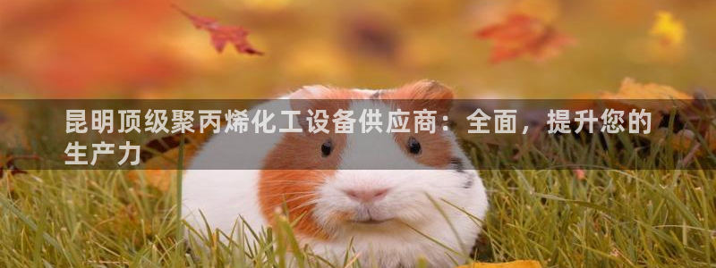 天辰平台会员登录失败