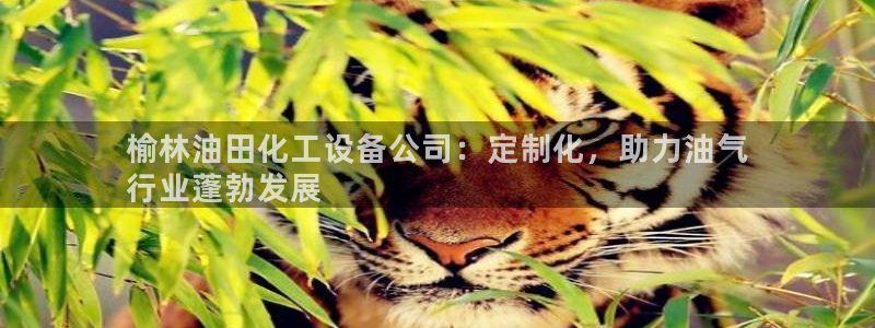 天辰平台划7O777