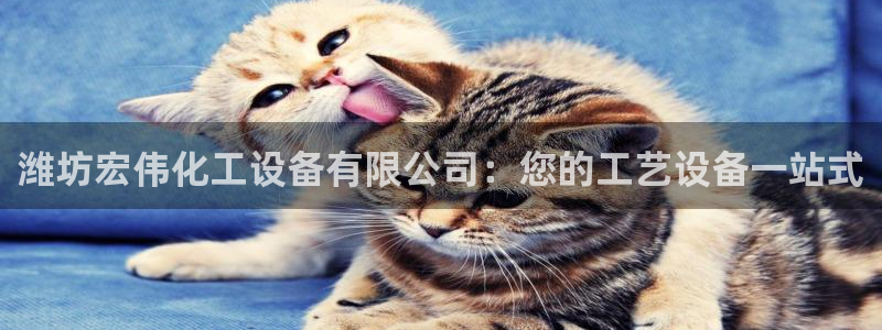 天辰平台会员有什么用啊