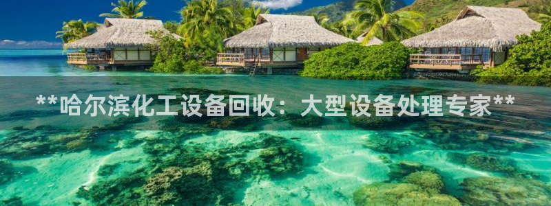 天辰会员开户流程