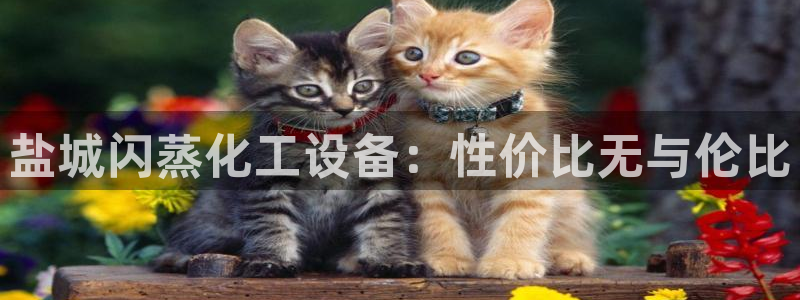 天辰娱乐平台代理是谁
