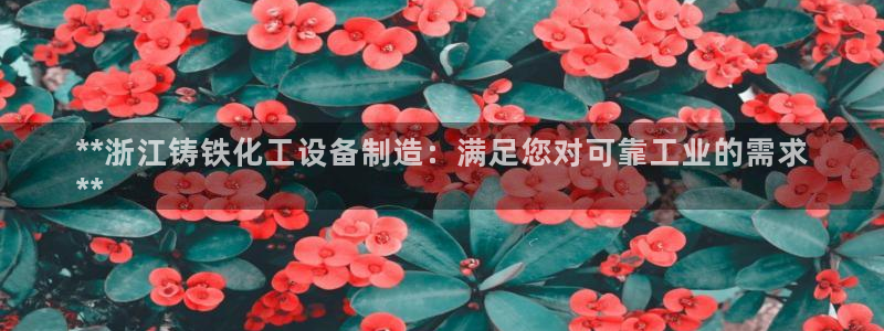 天辰测速在线登录网址