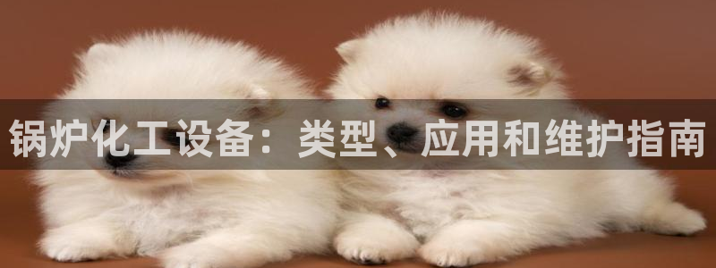 天辰平台注册登录地址怎么改啊