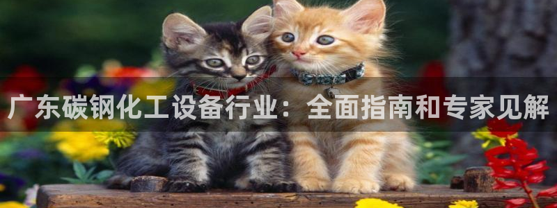 天辰平台陪 37oo735