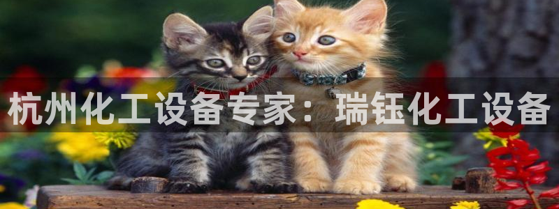 天辰平台想 58534I 平台