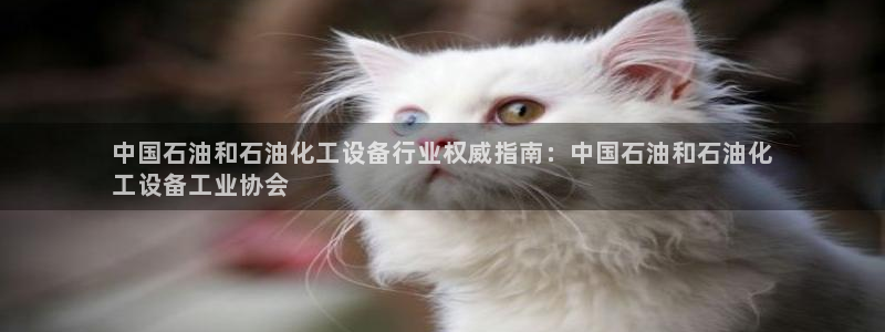 天辰娱乐官网最新公告公示