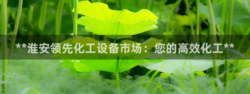 天辰平台测速登录不上怎么办