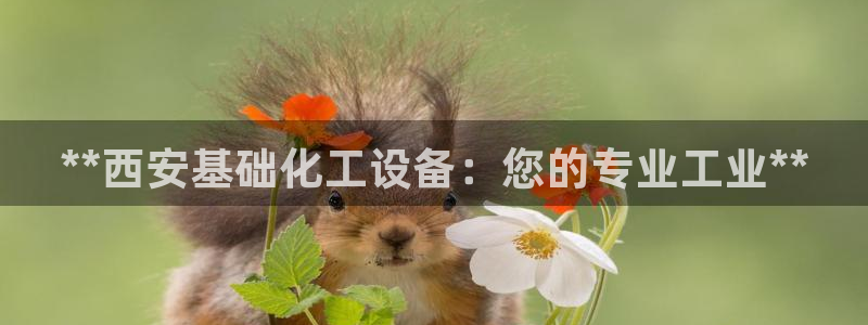 天辰平台注册地址在哪里找