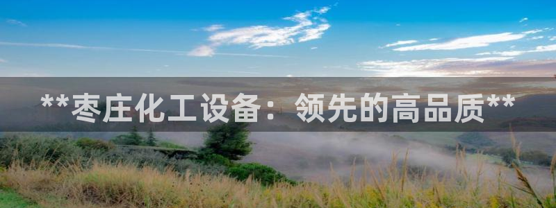 天辰娱乐平台用户评价与反馈