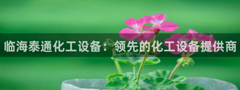 天辰注册会员