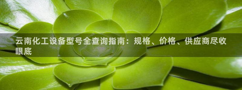 天辰平台专用注册通道安全吗可靠吗