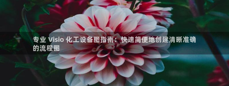 天辰平台你的专属平台是什么
