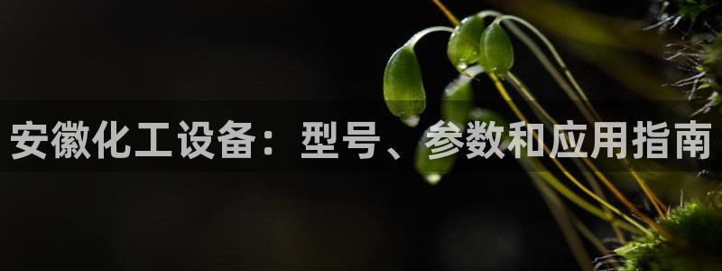 天辰平台推选 58534I 平台