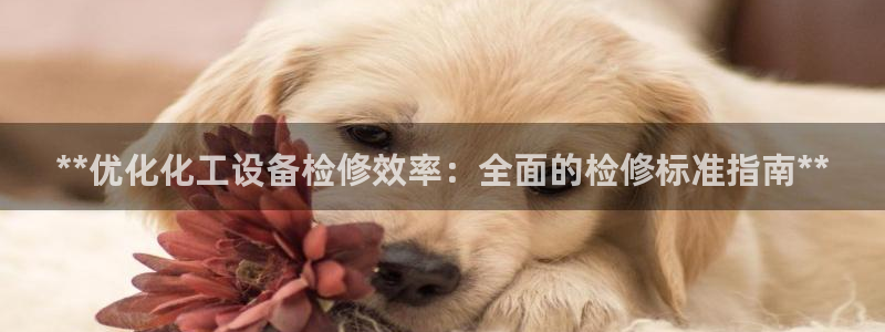 天辰平台 注册你的专属平台入口：**优化化工设备检