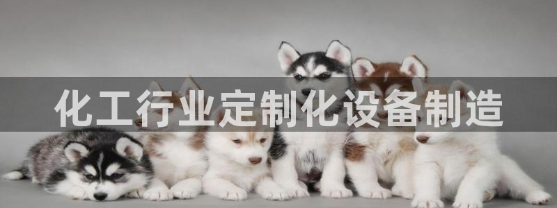 天辰娱乐平台账号注册地址是多少啊：化工行业定制化设