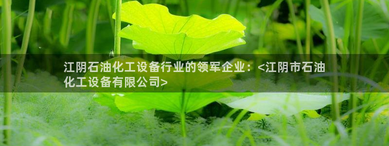 天辰平台登录注册账号：江阴石油化工设备行业的领军企