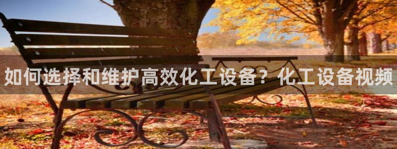 天辰平台用户登录不了账号