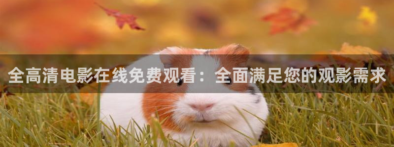 山外人精品影院洋洋av：全高清电影在线免费观看：全面满足您的观影需求