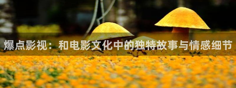 山外人精品影院：爆点影视：和电影文化中的独特故事与情感细节