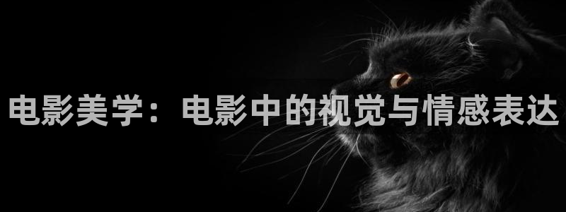 山外人精品影院洋洋av：电影美学：电影中的视觉与情感表达