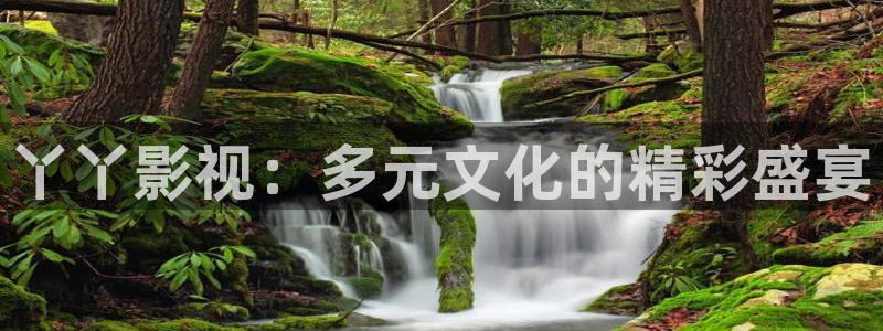 山外人精品影院：丫丫影视：多元文化的精彩盛宴