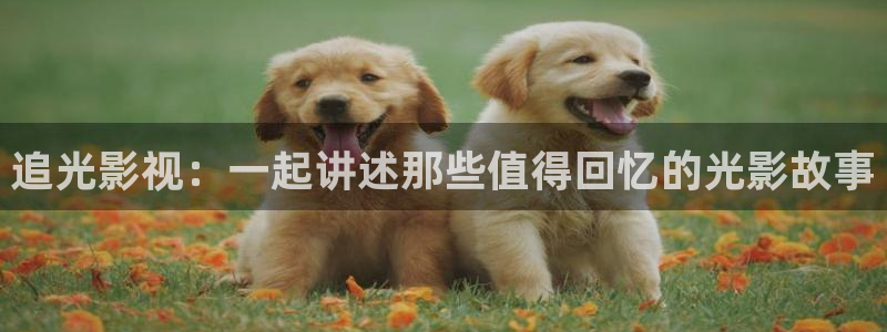 山外人精品影院在线：追光影视：一起讲述那些值得回忆的光影故事