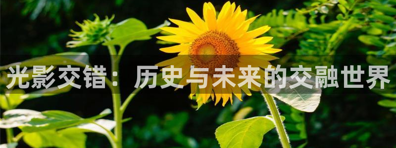 山外人精品影院在线：光影交错：历史与未来的交融世界