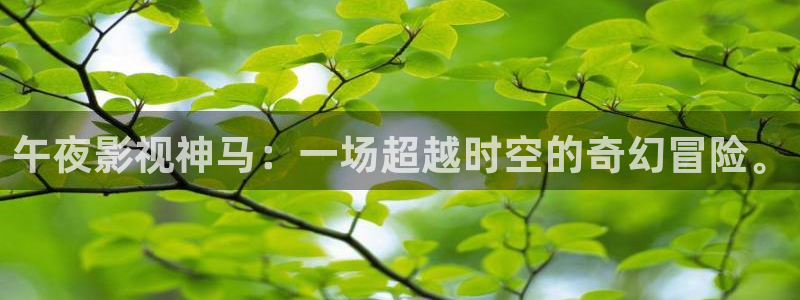 山外人精品影院：午夜影视神马：一场超越时空的奇幻冒险。