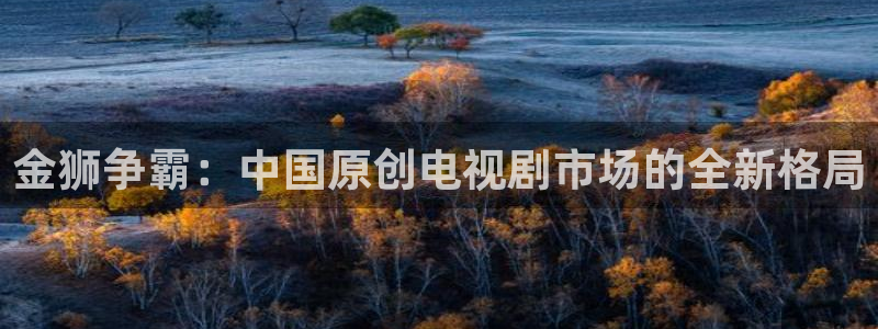 山外人精品影院在线：金狮争霸：中国原创电视剧市场的全新格局