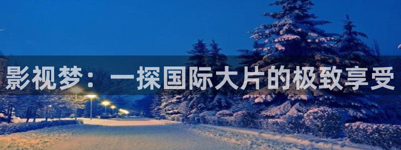山外人精品影院：影视梦：一探国际大片的极致享受