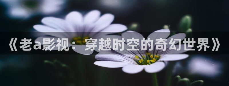 山外人精品影院 6 在线观看：《老a影视：穿越时空的奇幻世界》